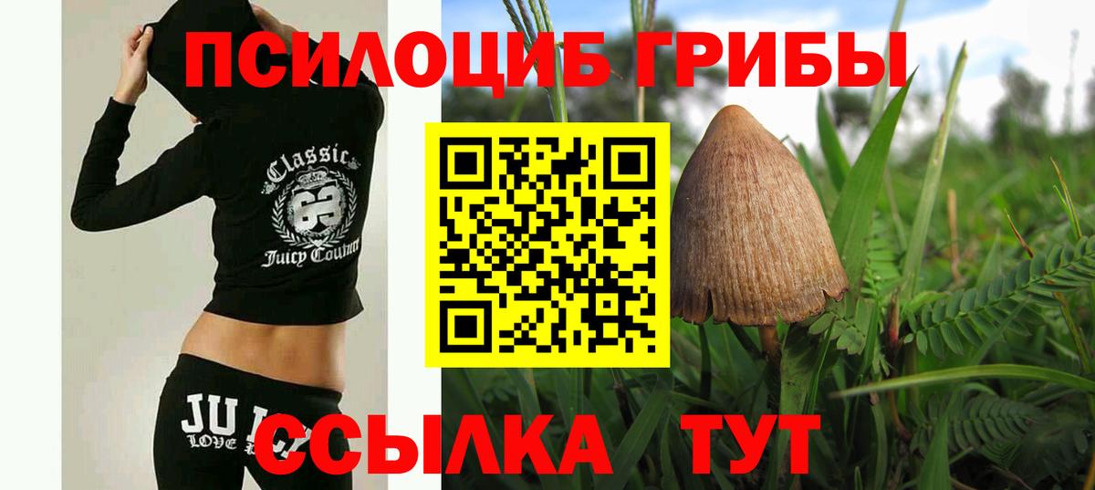 Ишимбай  Галлюциногенные грибы MAGIC MUSHROOMS  Вход с VPN 